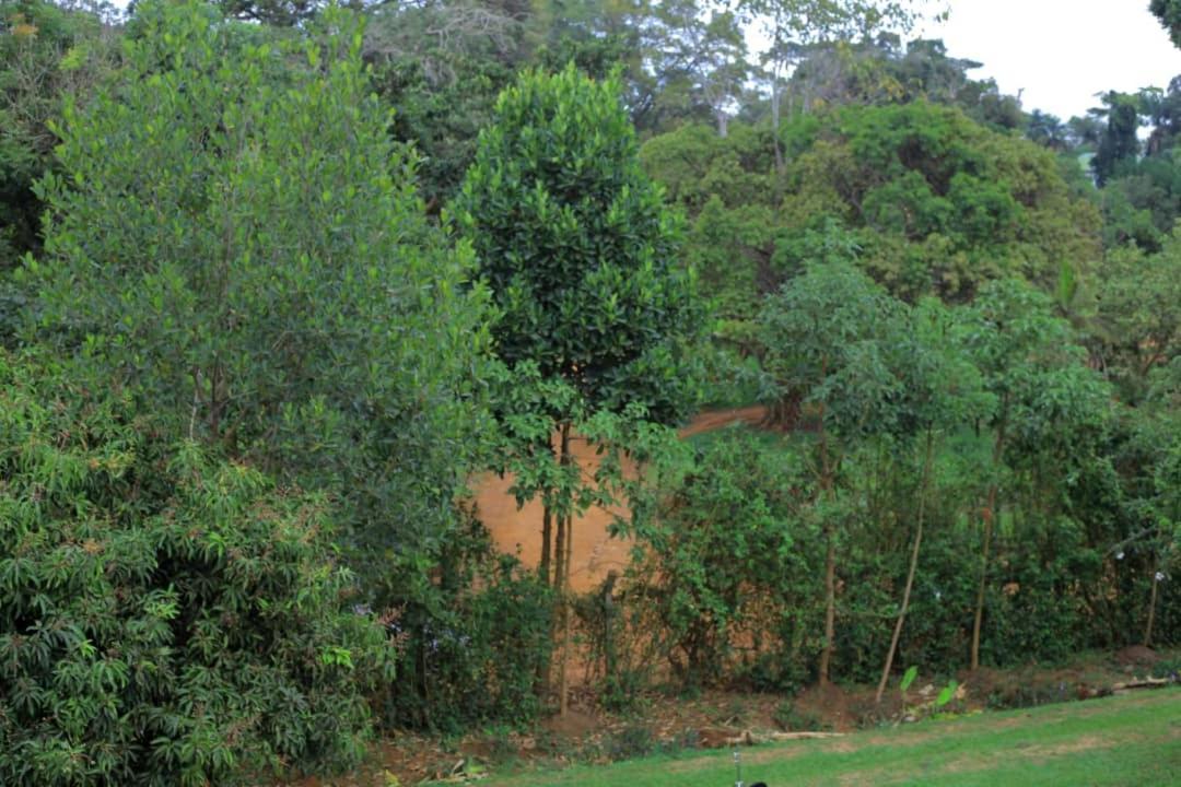 Motel Egg Botanical View Entebbe Esterno foto