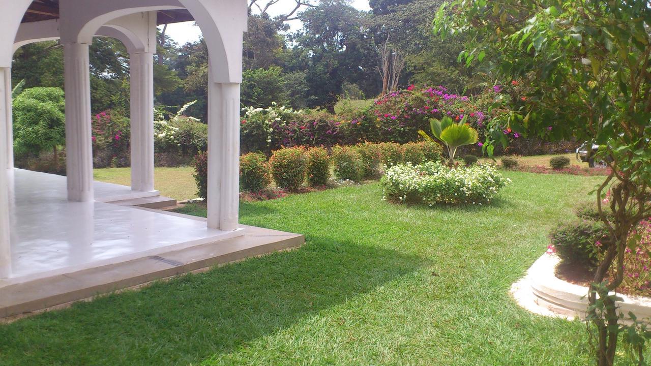 Motel Egg Botanical View Entebbe Esterno foto